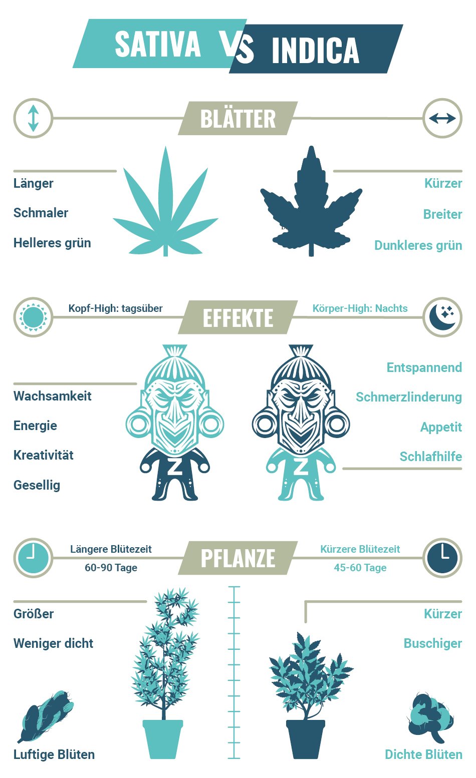 Sativa Vs. Indica: Wirkungen - Zamnesia